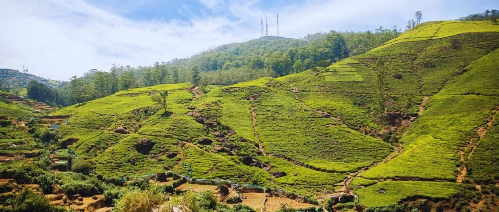 MDA - Destinations - Nuwara Eliya