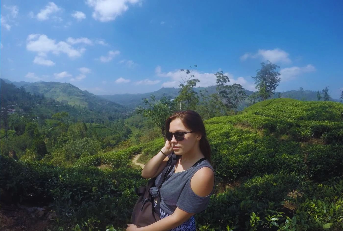 MDA - Blog - Sri Lanka forrest